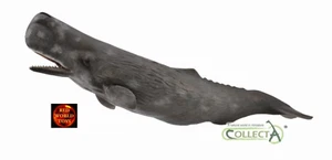 Sperm Whale Sealife Toy Model Figure by CollectA 88835 Brand New - Foto 1 di 4