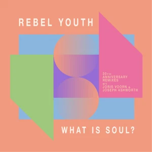 Rebel Youth What Is Soul? (30th Anniversary Remixes) (Vinyl) 12" Single - Picture 1 of 1
