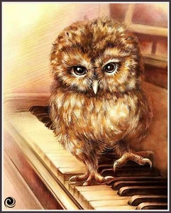 Piano Owl 177  - Chart Counted Cross Stitch Pattern Needlework Xstitch - Bild 1 von 5