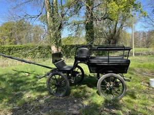 Kutsche Ein-als auch Zweispänner Fahrbar von Rombach - Bild 1 von 12