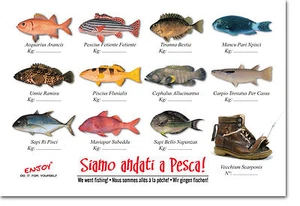 COLLECTIBLE CARD SICILIA IRONIC SPIRIT HUMOROUS FISH & FISHING - Picture 1 of 1
