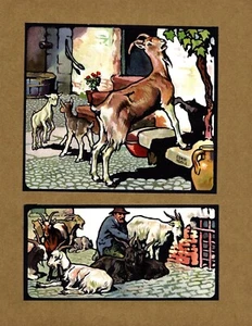 Antique Farmyard Goat Print Illustration Wall Art Decor Edwin Noble Art 6012j - Picture 1 of 2