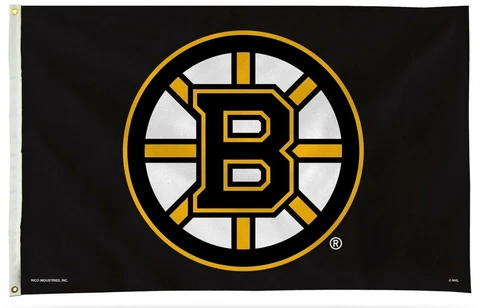 Boston Bruins Premium 3x5 Flag w/grommets Outdoor House Banner NHL Hockey Cover