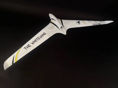 RC Flugzeug RC Plane Model The WHITEWING EWW-180/EWW-180EDFBausatz von Eclipson - Bild 1 von 4