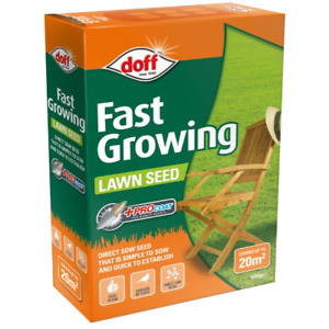 Fast Growing Lawn Seed 500g