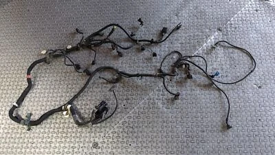 PIEZA FERRARI 360 ARAÑA, ARNÉS CABLEADO TRASERO IZQUIERDO PARA COMPARTIMENTO MOTOR 179168 Foto 1 de 4