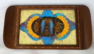 Vtg Argentina Wood Inlay Butterfly Wing 17x9 Serving Tray Bonatto Cia Beautiful - Picture 1 of 19