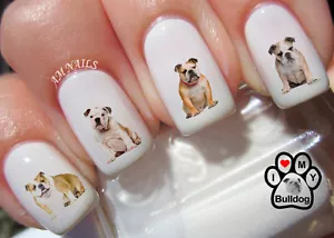 English Bulldog Nail Art Stickers Transfers Decals Set of 58 - A1297 - Picture 1 of 2