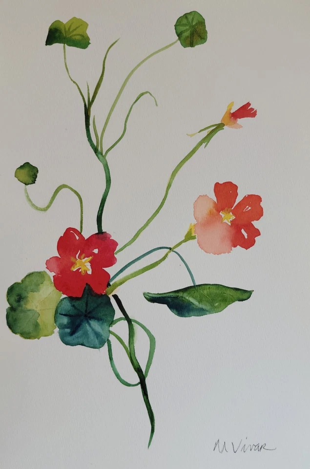 Pintura de arte fina impressionismo botânico flor original 12x9 MONA VIVAR - Imagem 1 de 4