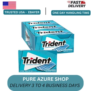 Trident Wintergreen zuckerfreier Kaugummi, 12 Packungen à 14 Stück (168 Stück insgesamt) - Bild 1 von 5