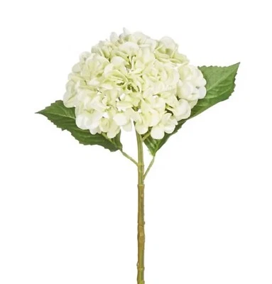 Raz Imports, 20" Real Touch Hydrangea - Light Green (F4222603) - Image 1 of 4