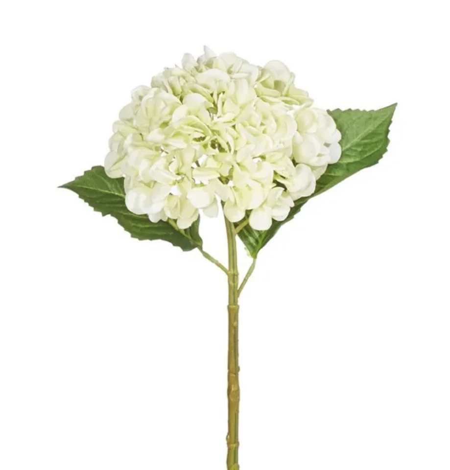 Raz Imports, 20" Real Touch Hortensia - Verde Claro (F4222603) Foto 1 de 4
