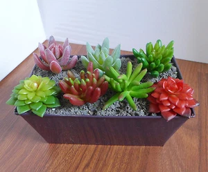 Set of 7 Artificial Miniature Succulents Grass Faxe Plastic Plants (2 Colors) - Picture 1 of 3