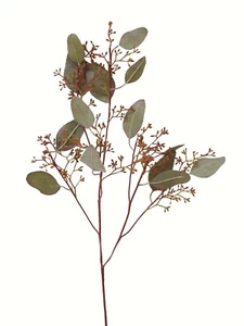 (01431) ARTIFICIAL RAMA EUCALIPTO EUCALYPTUS EUCALIPTUS HOJAS VERDE MARRON - Picture 1 of 1