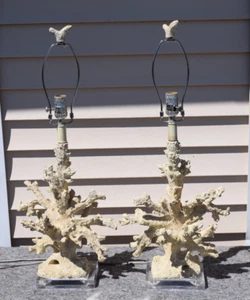 Pair of 2 Reef Coastal Faux Coral Branch Table Lamps on Clear Lucite Bases - Picture 1 of 11
