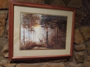 Gerald Coulson Gerahmter Druck "The Quiet Forest" Hirsch Tierwelt 22 x 18 - Bild 1 von 6