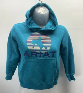 Ariat Boys Green Long Sleeve Pullover Hoodie Workwear Farmcore XSmall Chest Logo - Picture 1 of 9