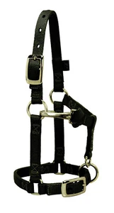 Weaver Leather Original Adjustable Mini Nylon Halter, Medium, Black, 35-4800-BK - Picture 1 of 1
