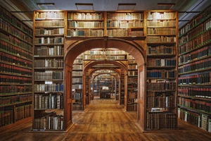 BIBLIOTECA Fotomural TEJIDO (6773V) Librería Madera Estructura Diseño Foto Arte Pared - Imagen 1 de 5