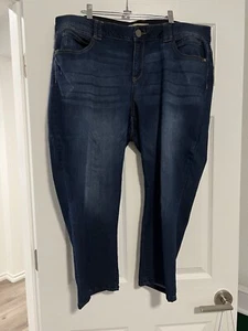 Democracy Plus Size 20W Ab Technology Slimming Comfortable Jeans - Picture 1 of 4