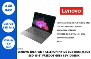 Notebook Lenovo Ideapad Intel N4120 8Gb Ram 256GB Ssd Freedos 82V700GBIX 15.6” - Imagen 1 de 7