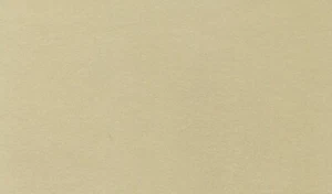 Tatzenvelour - Tatzenstoff - Pfotenstoff  hellgrau 10 x 20 cm - Bild 1 von 1