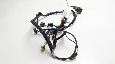 MASERATI QUATTROPORTE M139 MK5 ARNÉS TELAR CABLEADO PUERTA DELANTERO DERECHO 2005 Foto 1 de 4