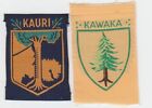 Boy Scout Badges Ext KAURI + +Ext KAWAKA New Zealand