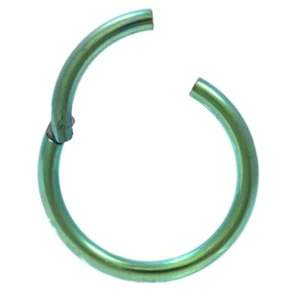 Segment Hinged Captive Lip Ring 16 Gauge 1/2" Titanium Teal IP SET of 2 - Picture 1 of 3