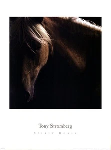 Spirit Horse by Tony Stromberg Art Print Horse Mane Western Ranch Poster 26x19 - Picture 1 of 1