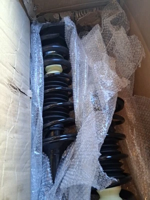 后部完整支柱和弹簧组件适用于雪佛兰 Malibu Grand Am Cutlass Alero — 第 1/4 张图片