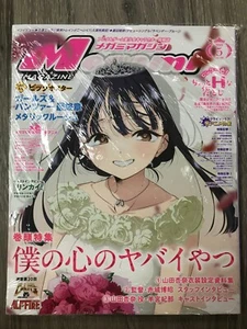 Megami vol. 288 bishoujo magazine May 2024 / NEW import - Imagen 1 de 2