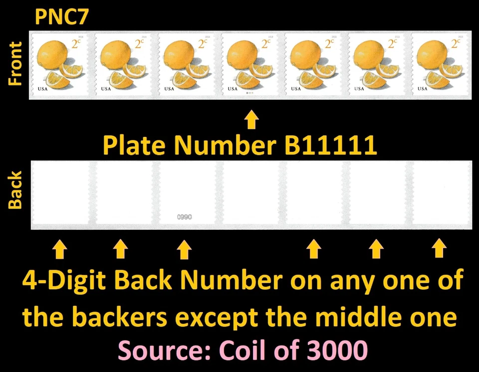 US 5256 Meyer Lemons 2c PNC7 B11111 4d back # MNH 2018 - Image 1 of 1