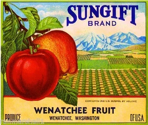 Wenatchee Washington Sungift Scenic Apples Apple Fruit Crate Box Label Art Print - Picture 1 of 1