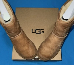 Donna UGG Classic Short II, taglia 6 marrone usato in ottime condizioni in scatola originale con confezione - Foto 1 di 17