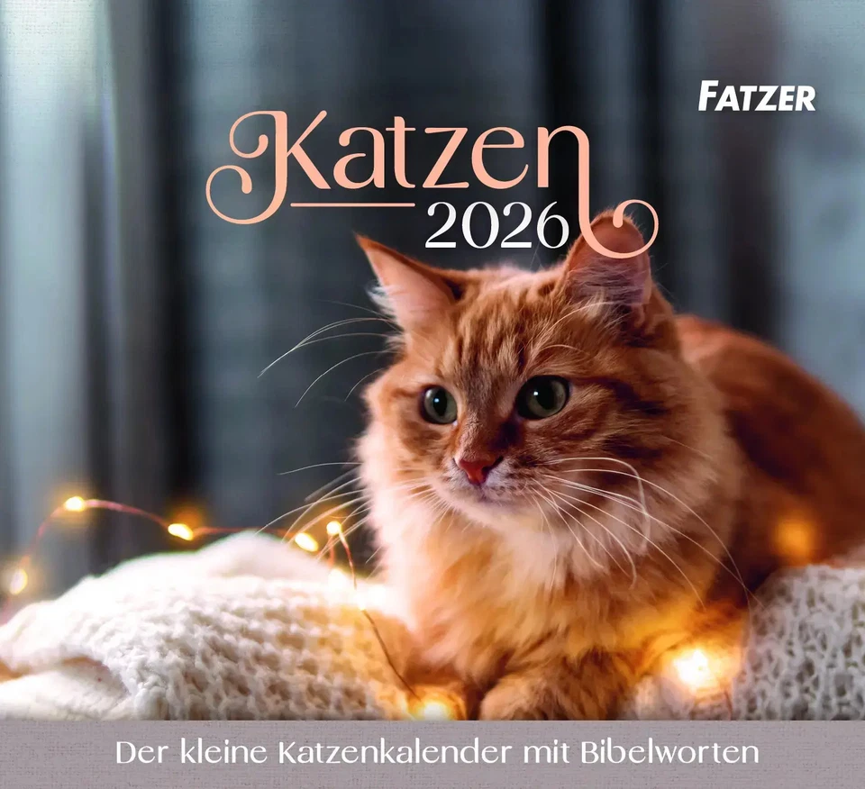 Katzen 2026 | Kalender | Deutsch | 13 S. | 2026 | Bolanz Verlag für alle