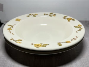 2 Vintage Anchor Hocking DEVONSHIRE Ironstone Cereal Bowls  1970's USA 8" - Picture 1 of 11