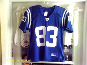 Indianapolis Colts reebok Jersey (Brandon Stokley #83) Womens Sz-Small (NWOT) - Picture 1 of 5