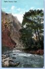 Antique Postcard~ Ogden Canyon, Utah