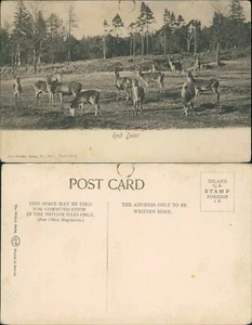 Red Deer Wrench Series 1857 C Reid - Picture 1 of 2