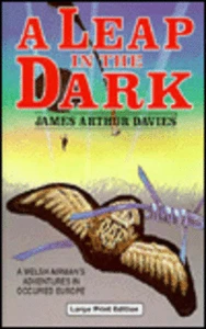 A Leap In The Dark James Arthur Davies hardcover large print - Picture 1 of 1