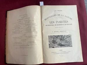 BREHM (Alfred Edmund), Les insectes. Les pyriopodes, les arachnides 1892 - Bild 1 von 7