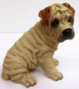 SHAR PEI, CREAM COLOR, SITTING, CONVERSATION CONCEPTS, ITEM DGF40C - Picture 1 of 6
