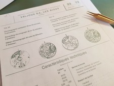 Fournitures/Parts Valjoux 23/72