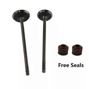 Intake Exhaust Valves For Yamaha XV250 Virago Route 66 V-Star XVS250 Drag Star - Picture 1 of 1