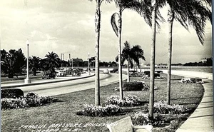 Cartolina fotografica reale Tampa Florida RPPC Bayshore Blvd  - Foto 1 di 3