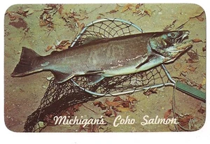 LAKE MICHIGAN COHO SALMON and Net Fish Fishing Rivers Streams MI Postcard - Picture 1 of 2