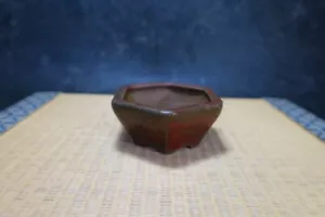 Genuine Japanese Bonsai pot "Hayashi Jyakushi" - Picture 1 of 16