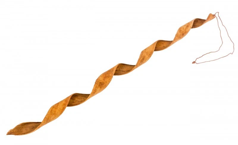 NaDeco Zimtlocke ca. 40cm Dekozimt gedrehte Zimtstange gedrehte Zimtrinde - Bild 1 von 1