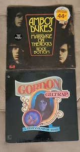AMBOY DUKES Marriage On The Rocks GORDON GILTRAP Testament of Time VINYL LOT NEW - Picture 1 of 5